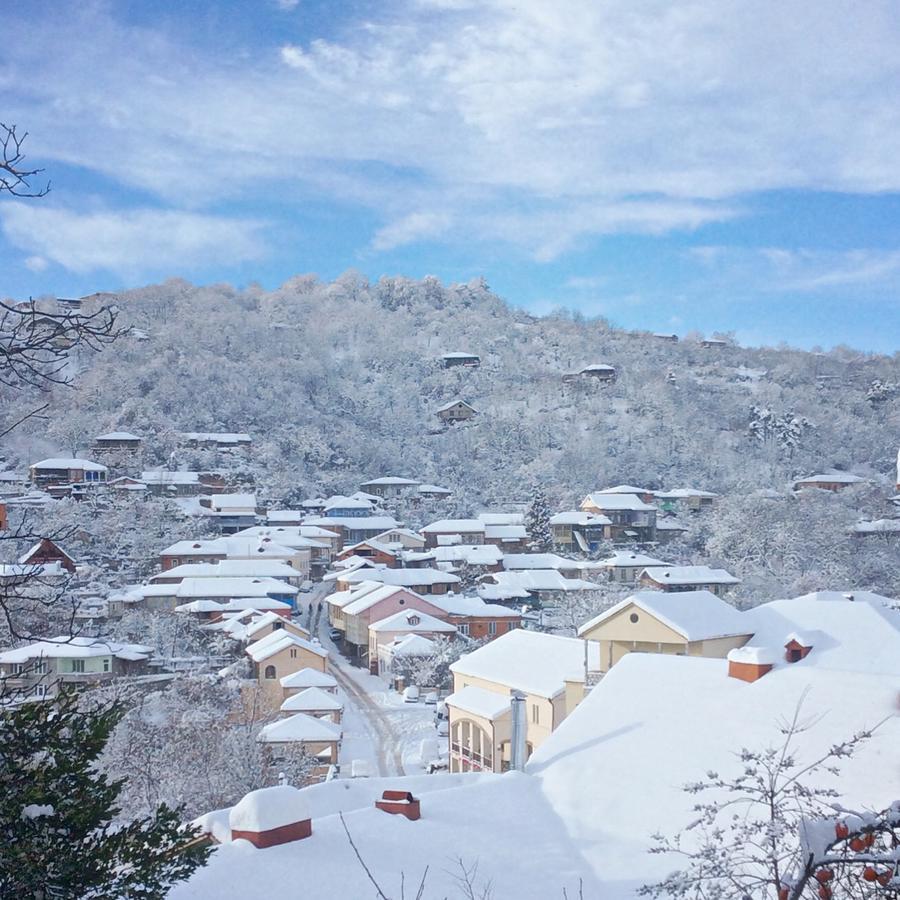 Room 4 U Siğnaği Dış mekan fotoğraf